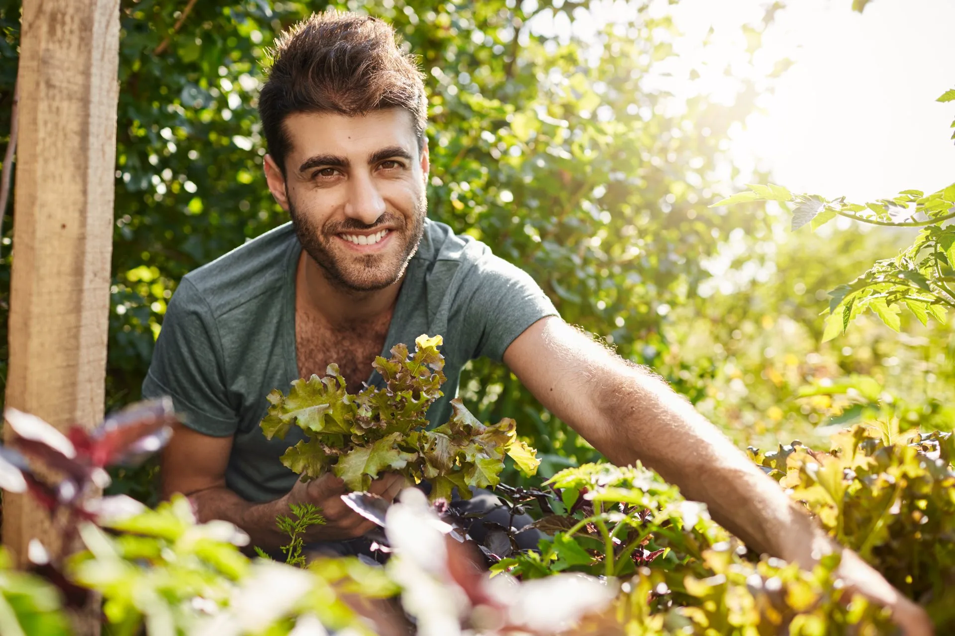 close-up-outside-portrait-young-beautiful-bearded-hispanic-man-blue-shirt-smiling-camera-collecting-salad-leaves-garden-watering-plants-spending-summer-morning-countryside-house