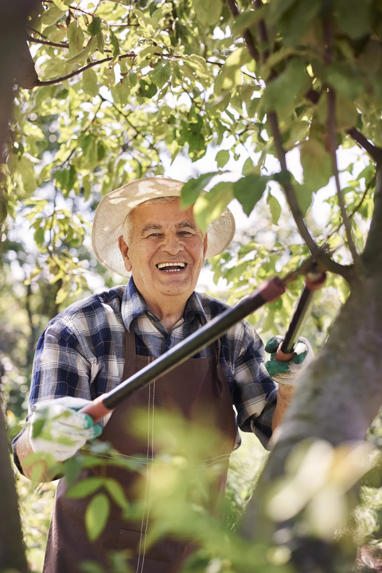 senior-man-working-field