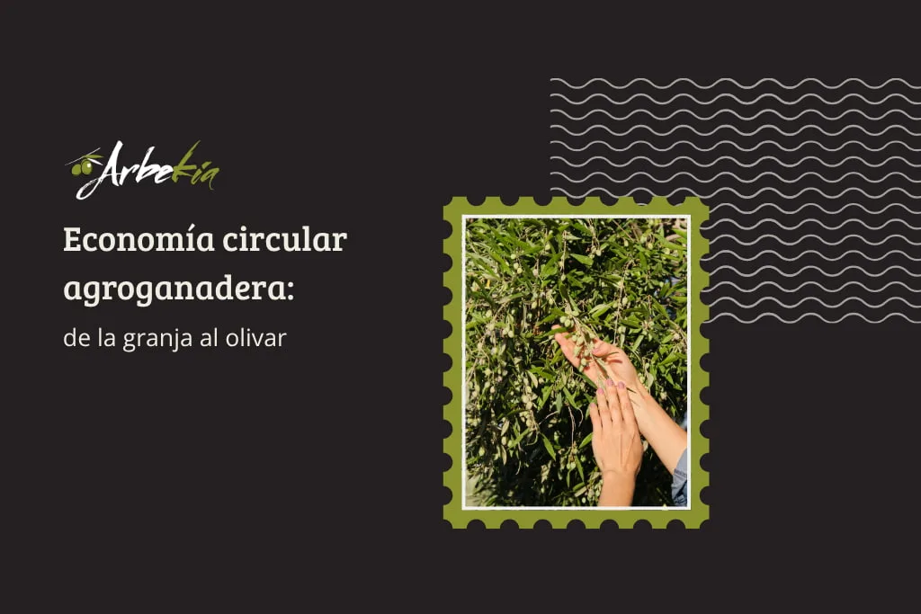 Portada del artículo de Arbekia sobre economía circular agroganadera, de la granja al olivar.